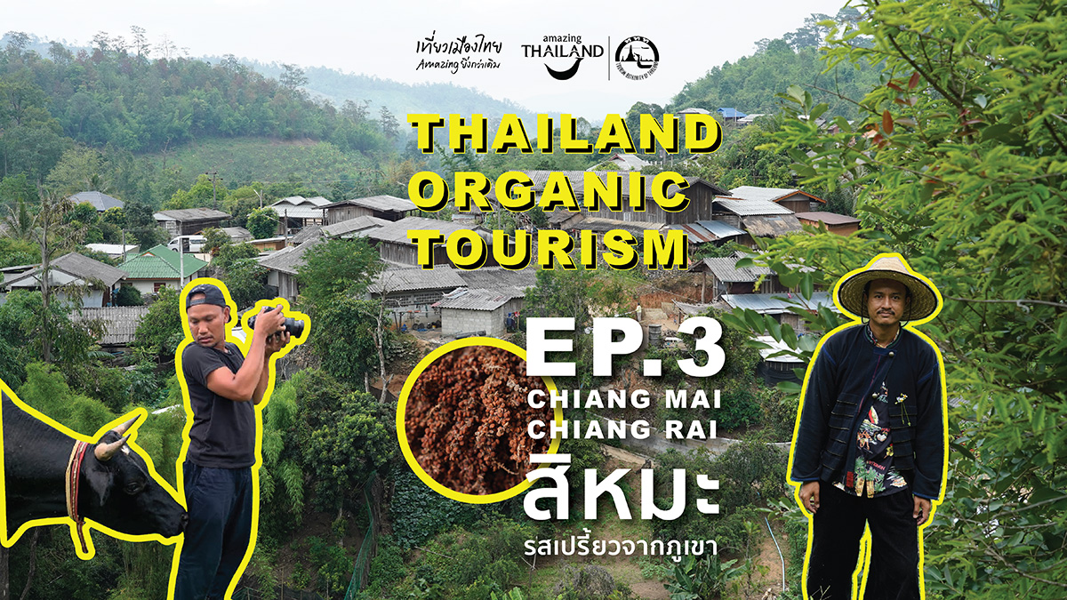 Thailand Organic Tourism EP3: CHIANG MAI and CHIANG RAI